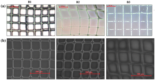Figure 7. Microscopic (a) and SEM (b) images of 2PP-manufactured grid structures obtained from B1 to B3 formulations in the presence of Irg819.
