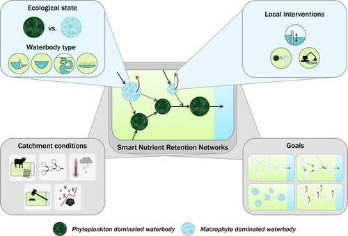 Figure 2. Smart Nutrient Retention Networks (middle panel) have multiple dimensions, that should be considered to achieve the goal(s) set for the network of inland waters: minimized nutrient loss to the oceans, maximized nutrient retention in inland waters, good ecological water quality, or maximized reuse of nutrients retained within the network (bottom right panel). At the level of individual waterbodies, the ecological state and waterbody type influence the potential for nutrient retention (top left panel). Local interventions can influence this nutrient retention potential, for example, by adjusting the hydrology, changing the ecological state, or harvesting and reusing nutrient retaining ecosystem components (top right panel). At the catchment level, conditions apply which are beyond the scope of local water managers: external nutrient loading, configuration of hydrological connections, climate change, catchment-level legislation, and socioeconomic conditions (bottom left panel). Color version available online.