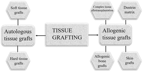 Figure 5. Different types of tissue grafting.