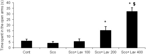 Figure 2. Effects of the scopolamine alone treatment and Lavandula officinalis extract pretreatment in different doses, on time spent on the open arms in elevated plus maze task. Values are means ± SEM (n = 10 animals per group), *p ≤ 0.001 in compared with control and scopolamine groups. For post hoc analysis: Lav 200 + Sco versus Lav400 + Sco: $p ≤ 0.05. Sco: scopolamine; Lav: L. officinalis. Effects of the scopolamine alone treatment and L. officinalis extract pretreatment in different doses, on time spent on the open arms in elevated plus maze task.