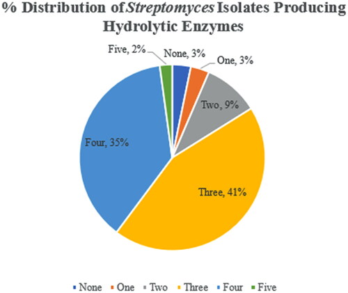 Figure 1. Percentage distribution of Streptomyces isolates producing hydrolytic enzymes.