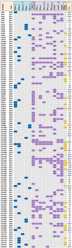 Figure 1 Antibiotic resistant mechanisms determined in the Enterobacter cloacae complex (ECC) isolates and multilocus sequence typing (MLST) in this study. (A) Carbapenem resistance genes; (B) extended-spectrum β-lactamases (ESBLs) phenotypic test for the phenotypic detection of ESBLs production; (C) β-lactam resistance genes; (D) expression of outer membrane porins genes and cephalosporinase gene ampC; (E) carbonyl cyanide 3-chlorophenylhydrazone (CCCP) was used to detect the activity of efflux pumps in carbapenem-nonsusceptible ECC isolates; (F) sequence typing (ST) of ECC. Blue, purple, and yellow squares represent positive. Gray squares represent negative. The purple square with an up arrow represents the overexpression of genes, and the purple square with a down arrow represents the low expression of genes.