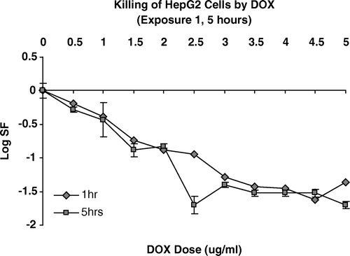 Figure 1.  Cell killing by increasing concentrations of DOX for either a one hour or five hour exposure duration.