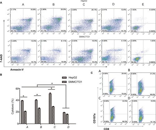 Figure 7 The killing action of Dex-induced CTL against HCC HepG2 and SMMC7721 cell lines.Notes: (A) Flow cytometry; (B) bar chart. A, DC-rAAV/AFP; B, Dex; C, DC-Dex; D, non-transfected DCs; E, HepG2/SMMC-7721 cells. *P<0.05. (C) flow cytometry detects the cell surface marker CD107a expression on the surface of DC- and Dex-induced CTLs. A, DC-rAAV/AFP; B, Dex; C, DC-Dex; D, non-transfected DC.Abbreviations: AFP, alpha-fetoprotein; DC, dendritic cell; Dex, dendritic cell-derived exosome; HCC, hepatocellular carcinoma; rAAV, recombinant adeno-associated viral vector; CTL, cytotoxic T lymphocyte.