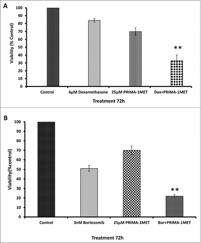 Figure 4. Effects of PRIMA-1Met in combination with current WM therapeutics. (A) Synergism was assessed by combination index (CI) analysis for dexamethasone and RIMA-1 after 72hrs, CI = 0.63. (B)RIMA-1met has synergistic effects with bortezomib velcade on BCWM-1 cells, 72hrs, CI = 0.85. Error bars = SEM, ** P = <0.01