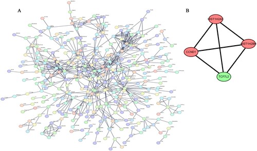Figure 3. The protein–protein interaction (PPI) network and 4 hub gene interaction network analyzed using Cytoscape software (A) PPI network. The interaction score with the highest confidence (0.9) was chosen as the minimum required interaction score. (B) The sub-net scored four and showed interactions between HIST1H2AC, HIST1H2BH, CCND1 and TCF7L2.