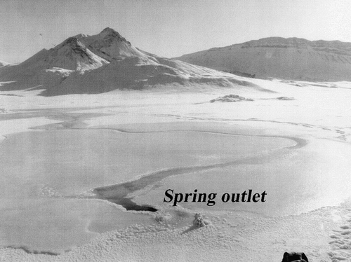 FIGURE 7. Image of the Gypsum Hill icing taken 16 April 2002 looking towards the south. As air temperatures climb above the eutectic point, the icing begins to melt and mobilize to expose underlying brine channels. Brine leaves the outlet and travels along the exposed meandering channel which is flanked on either side by an extensive icing deposit. Exposed channel at spring outlet is approximately 15 cm in width