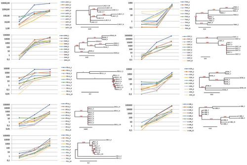 Figure 2. Trends of enrichments and phylogenetic correlations between the top 10 scFv clones, representative of each target. For each of the indicated targets, the left panel shows the representation of relative enrichments across the three selection cycles. The dendrograms shown at the right side report the phylogenetic clustering of the 10 most enriched scFv clones, according to the translated sequences of the corresponding hCDR3 regions.