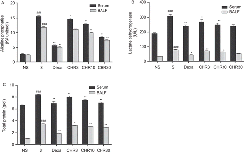 Figure 3.  Effect of chrysin on (A) alkaline phosphatise (B) lactate dehydrogenase (C) total protein (D) from BALF. NS, non-sensitized (OVA-challenged, treated with vehicle), S, sensitized (OVA-sensitized and challenged, treated with vehicle), Dexa, OVA-sensitized and challenged, treated with dexamethasone 1 mg/kg, CHR3, CHR10, CHR30, OVA-sensitized and challenged, treated with chrysin 3, 10, and 30 mg/kg, p.o., respectively. Results are presented as mean ± SEM. ANOVA followed by Dunnett’s test. ###p < 0.001 when sensitized group versus non-sensitized group, *p < 0.05, **p < 0.01 when Dexa, CHR3, CHR10, CHR30 groups versus sensitized group.