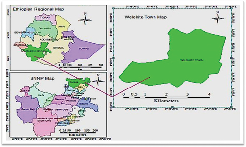 Figure 1. Administrative map of Wolkite town.