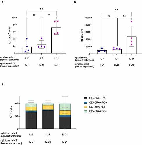 Figure 7. IL-21 exerts its effect on phenotype during agonist selection. Phenotype of cells after polyclonal feeder expansion, gated on eGFP+ transduced cells, or eGFP+ CD62L+ cells for (b). Cytokine(s) as shown was/were added during both agonist selection (cytokine mix 1) and feeder culture (cytokine mix 2). Percentage of CD62L+ cells (a) and CD62L MFI (b). Individual values and mean ± SD of 4 donors. Results were compared using Kruskal–Wallis test with uncorrected Dunn’s test. p-value < 0.05 (*), p-value < 0.01 (**), ns not significant. (c) Percentage of cells in CD45RA/CD45RO quadrants of dotplots. Mean ± SD of 4 donors. Results were compared using two-way ANOVA with uncorrected Fisher’s LSD. Differences were not significant