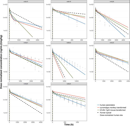 Figure 7. Predicted human PK profiles using (a) allometric exponents estimated for Tg32 mouse ( Display full size ), (b) allometric exponents estimated for cynomolgus monkey ( Display full size ) and (c) ‘typical’ human popPK parameter estimates (Display full size). Simulated data is compared with observed (individual) dose normalized human PK data (symbols) and profiles from fitting human data for individual mAbs ( Display full size ).