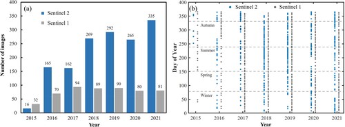 Figure 2. Temporal distribution of Sentinel 1/2 images used in this study. (a) The quantity of Sentinel-1 and Sentinel-2 images used in this study. (b) Scatter plot of Sentinel-2 and Sentinel-1 image acquisition dates in the Dongting Lake wetland during 2015–2021.