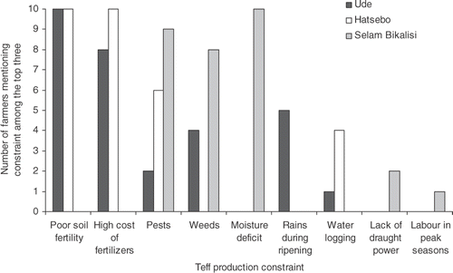 Figure 3. Initial individual farmers’ identification of teff production constraints at the three investigated sites.