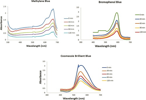 Figure 10. Evaluate the dye degradation activityof AgNPs in different time intervals.