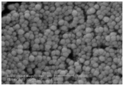 Figure 1 Scanning electron micrograph of docetaxel-loaded nanoparticles.