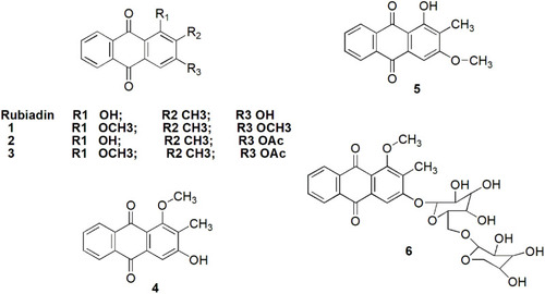 Figure 10 Possible structural modifications of Rubiadin.