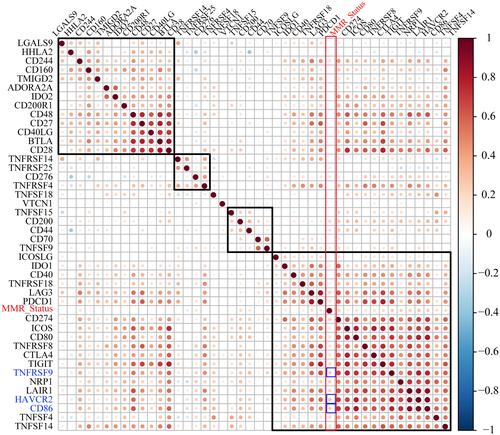 Figure 4 The correlation between the expression levels of ICGs and MMR gene mutation, the larger the point, the stronger the correlation. The redder the color in the figure, the stronger the positive correlation; The bluer the color, the stronger the negative correlation; The whiter the color, the weaker the correlation.