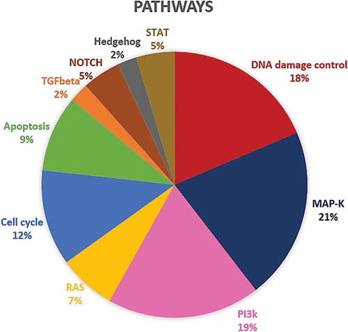Figure 2. Distribution of the 30 genes differently expressed between the LR and EP groups within the molecular pathways.