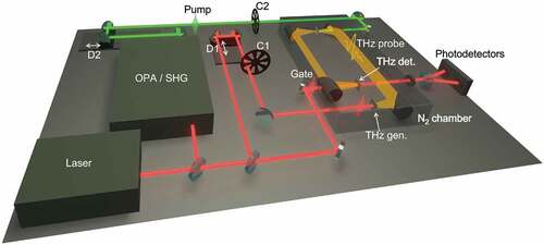 Figure 1. Prototypical setup for OPTP spectroscopy experiments. An amplified laser system delivers fs pulses to the THz generation and detection arms and to the wavelength conversion setup exploited for exciting the samples. The two choppers (C1 and C2) modulate the THz generation and the pump pulses at different frequencies to obtain and E, respectively. Off-axis parabolic mirrors are exploited to collimate and focus THz radiation. Balanced photodiodes are used to acquire the signals that are demodulated at the relevant frequencies by a lock-in amplifier. The setup is enclosed in a purged N2/ dry air or kept in vacuum to remove THz absorption by water vapor. D1 and D2 are the delay stages used to control the pump-probe and EOS delay respectively.