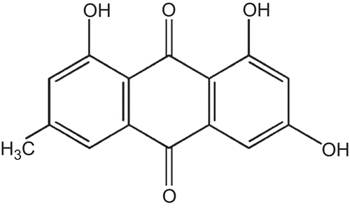 Figure 1.   Determination of antibacterial activity by the disc diffusion method.