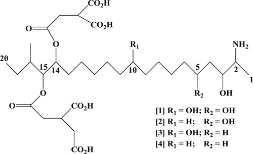 Figure 1. Chemical structure of fumonisins: (1) fumonisin B1; (2) fumonisin B2; (3) fumonisin B3; and (4) fumonisin B4.