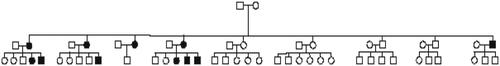 Figure 3. The family pedigree of the participants, highlighting the 11 affected patients. Other family members either passed away or declined to participate, preventing us from ruling out their involvement.