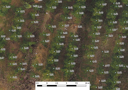 Figure 1. Individual tree heights annotated onto an orthophoto derived using a digital surface model (DSM). High points in the DSM are closely aligned with the image of each tree top