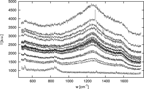 FIG. 4. Raw spectra of the incremental series.