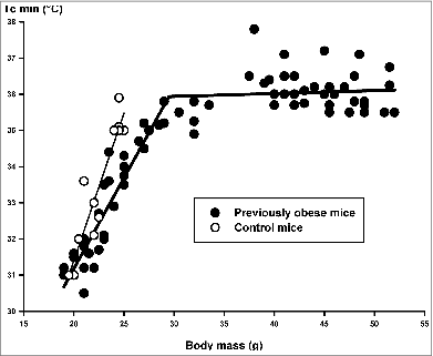 Figure 4. Daytime minimum core temperature (2-hour averages) (Tc min) as a function of body mass in obese (Group-2, filled symbols) and control (Group-1) mice (open symbols) during fasting. Measurements on the same animals were performed on different fasting days. Regression lines for control group (thin) and obese animals (thick) are indicated. For details of statistics see Results.