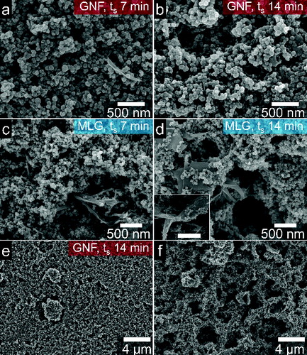 FIG. 6. SEM images of graphene nanomaterial films on MA-glass. GNFs at ts of (a) 7 min and (b) 14 min. MLG flakes at ts of (c) 7 min and (d) 14 min; inset scale bar indicates is 1 μm. Low-magnification images of (e) GNFs and (f) MLGs sprayed for 14 min.