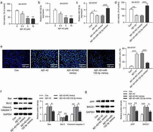 Figure 1. MiR-132-3p was lowly expressed, and reduced cell apoptosis in SH-SY5Y cells after the treatment of Aβ1-42