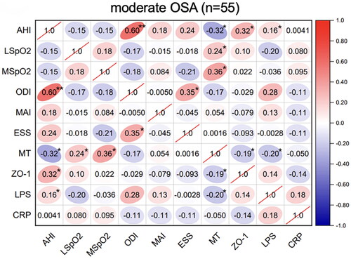 Figure 2. Correlations between sleep data and serum biomarkers in moderate OSA. Spearman’s rank correlation coefficients were calculated to determine the influence of PSG variables on the levels of serum biomarkers in moderate OSA (n = 55). The r values are represented by gradient colors, with red cells indicating positive correlations and the blue cells indicating negative correlations. *P < .05; **P < .01. Abbreviations: AHI: apnea-hypopnea index, MSpO2: mean pulse oxygen saturation, LSpO2: lowest pulse oxygen saturation, ODI: oxygen desaturation index, MAI: micro-arousal index, ESS: Epworth sleepiness scale, MT: melatonin, ZO-1: zonula occludens-1, LPS: lipopolysaccharide, CRP: C-reactive protein, PSG: polysomnography.
