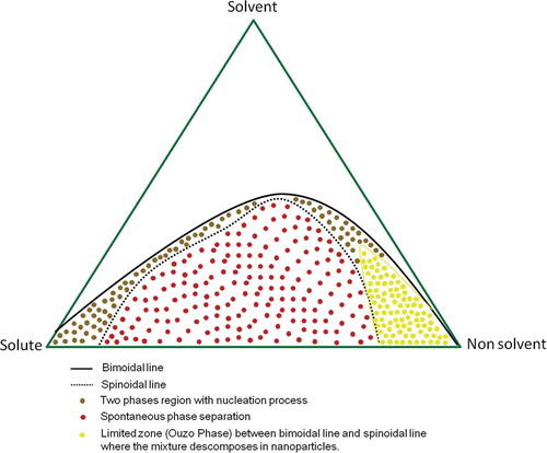 FIGURE 5 Example of the development of nanoparticles by the ouzo effect in a ternary diagram.