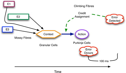 Figure 6. The temporal scope of cerebellar decision-making. Context from the past affects present action choices whose actions are realised in the future and whose consequences are perceived even further in the future.