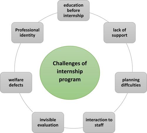 Figure 1 Conceptual model of the challenges of the internship program.