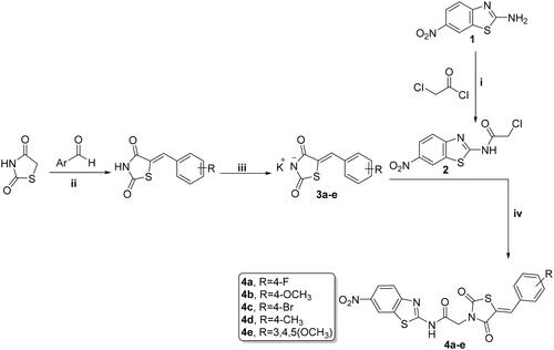 Scheme 1. Preparation of benzothiazole/thiazolidine-2,4-dione hybrids 4a–e; reagents and conditions: (i) CH2Cl2/Et3N 0 °C, rt; (ii) AcOH, NaOAc, reflux 14 h; (iii) EtOH, KOH, reflux 2 h; and (iv) DMF, K2CO3, reflux overnight.