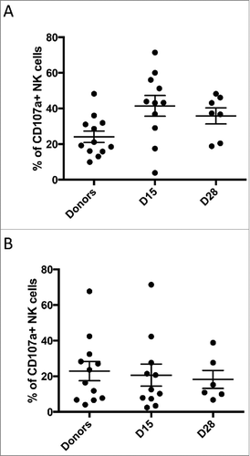 Figure 3. Donor and patient NK function. NK-cells were isolated from donors, the patient pre-treatment, and the patient post-treatment at indicated time points. NK response capacity was assessed by CD107a mobilization to (A) the NK-sensitive K562 cell line, or to (B) the neuroblastoma cell line LAN-1 in the presence of the m3F8 monoclonal antibody. 13 donors and 19 patients were assessed. Each bar represents the mean +/− SEM.