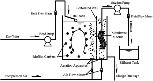 Figure 1. Schematic of the HMBR system.