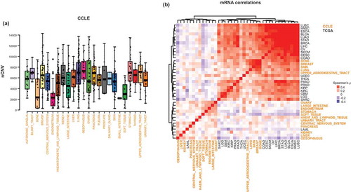 Figure 2. CIN-associated molecular profiles (signatures) are conserved in some cancer cell lines. a) The distribution of CIN values in cancer cell lines. b) The heatmap of pair-wise comparison (Spearman’s ρ) of the transcriptomic CIN signatures among the indicated cancer tissues and cell lines. Note high similarity of most tissues and some cancer cell line models.