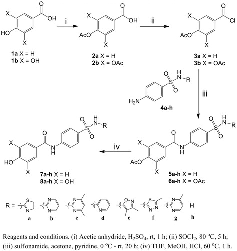 Scheme 1. Synthesis of the compounds.