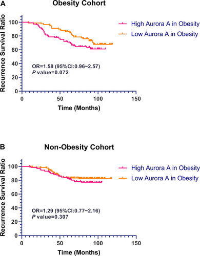 Figure 5 Prognostic significance of Aurora A expression for RFS in breast cancer.Note: Kaplan–Meier survival curves for relapse-free survival as a function of expression of Aurora A in patients with obesity breast cancer (A), and non-obesity breast cancer (B).