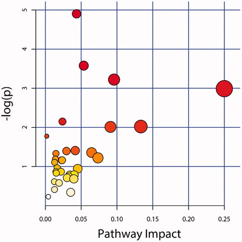 Figure 6. KEGG pathway enrichment analysis. The X-axis represented the pathway impact value. Large size and dark colour represented the main pathway enriched and the high pathway impact value, respectively.