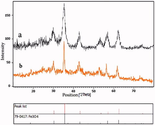 Figure 3. XRD pattern of (a) Fe3O4@PAA@ZIF-8 and (b) Fe3O4@PAA@ZIF-8@cip.