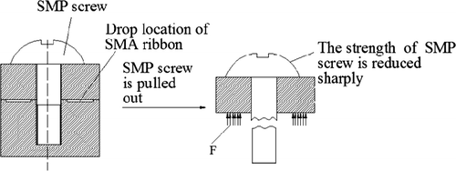 Figure 5 SMP screw is pulled out and broken by the SMA ribbon.