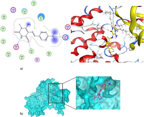 Figure 9. (a) Compound 4 at the active site of CDK1 (PDB ID: 6GU6), and (b) alignment of compound 4 and dinaciclib at the active site of CDK1 (PDB ID: 6GU6).