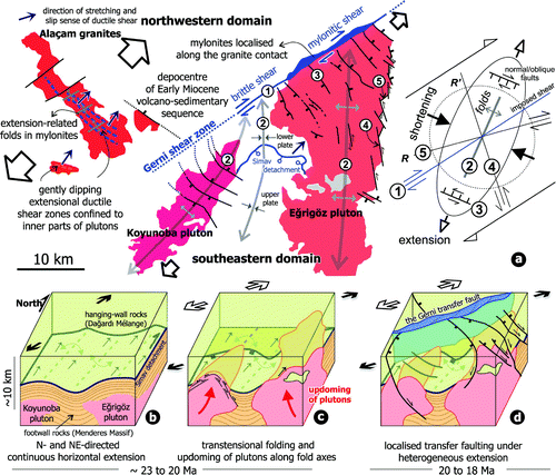 Figure 9. (a) A sketch map summarising the structural elements in two extensional domains separated by the Gerni shear zone in the northern Menderes Massif. The simple shear model has been modified from Waldron (Citation2005). (1) Imposed shear or master fault, (2) folds oblique to the shear direction, (3) normal/oblique-slip faults, (4) synthetic Riedel shear and (5) antithetic Riedel shear. (b–d) A simplified 3D model showing evolutionary model for the major structures described in this study. (b) Early stages of extension caused detachment faulting and folding in the lower and upper plate rocks. (c) Detachment faulting event is followed by updoming of granitoid plutons under the transtensional regime, leading to the development of a series of antiforms with the magmatic core. Low-angle brittle faults formed on the periphery and marginal parts of the plutons were interpreted to have formed during progressive solidification of outer parts of magma above brittle/ductile transition. (d) Ongoing inflation of magma along the hinge lines of antiforms is inferred to have ceased the detachment faulting and initiated the synthetic and antithetic shear zones and transfer zones under the heterogeneous extensional regime.