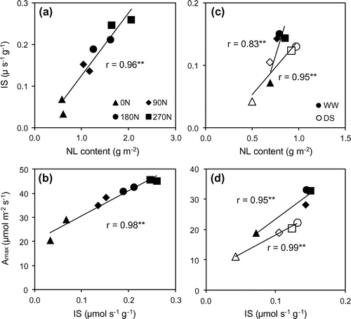 Figure 3. The correlation between leaf nitrogen content and initial slope of A/Ci curve (a); and between initial slope of A/Ci curve and potential photosynthetic rate (b) at 60 DAT; and at 120 DAT (c, d, respectively) under well-watered (closed shape) and drought stress (opened shape) conditions.