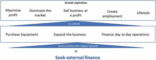 Figure 2. Seeking external finance to achieve growth aspirations.