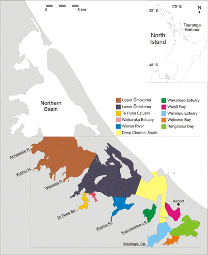 Figure 1  Location map of the study area in the southern basin of Tauranga Harbour. The box outlines the extent of the model grid. The harbour is subdivided into different regions based Hume et al. (Citation2009) to classify residence times. The river and stream inflow boundaries are marked and named.